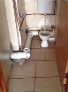 Toilet Before